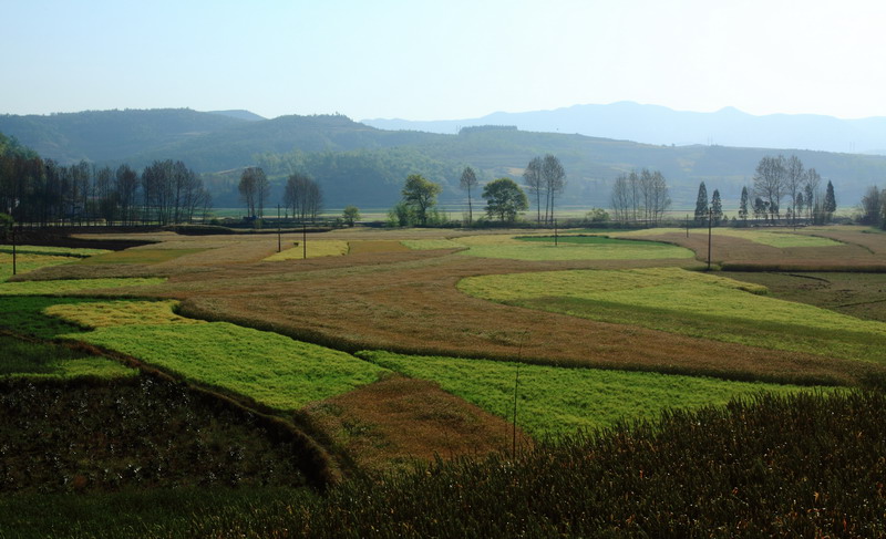 小阳春 摄影 蓝泡泡