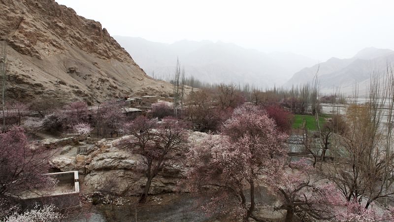 山里春天 摄影 烟雨无言