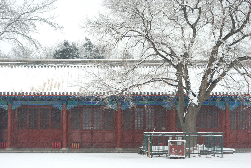 寂寞春雪 摄影 luzhouzjy