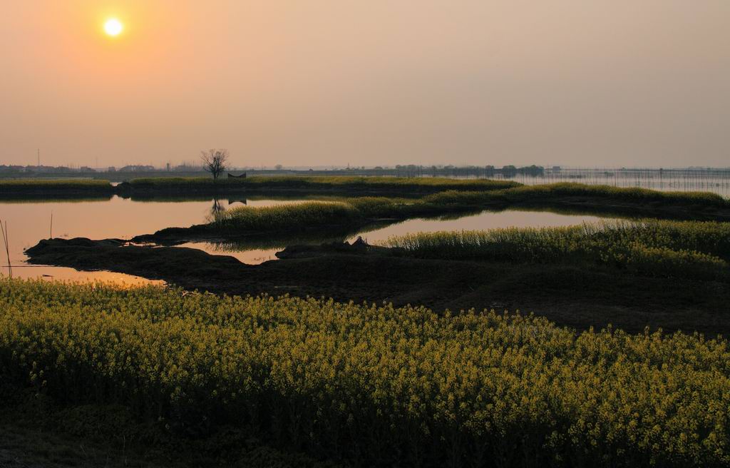 长湖夕照 摄影 蕊宝贝