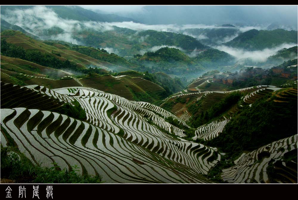 金坑晨雾 摄影 江岸孤峰