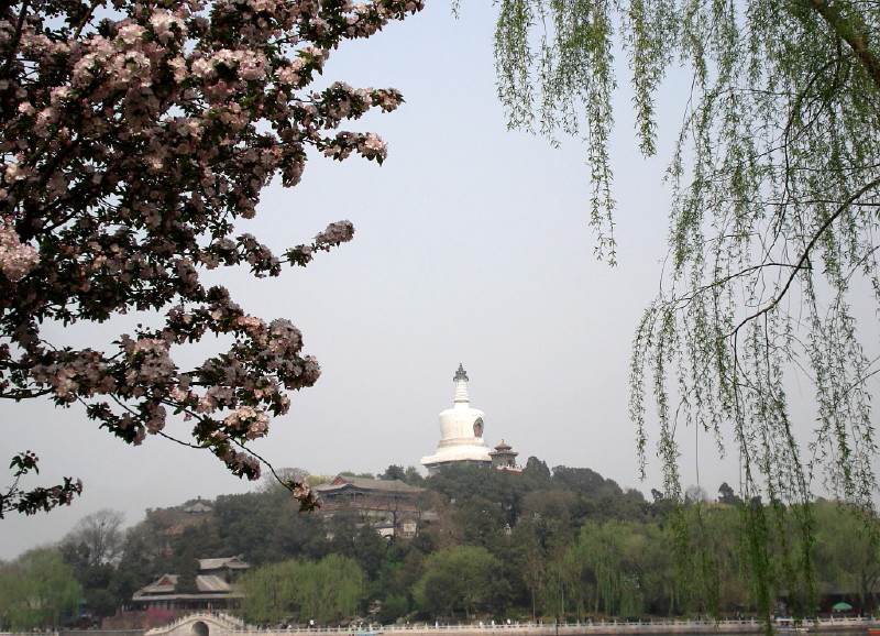 琼岛春阴 摄影 山水闲散客