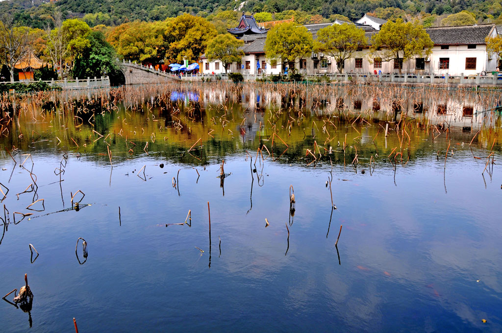 普陀山普济寺 摄影 风雨太阳