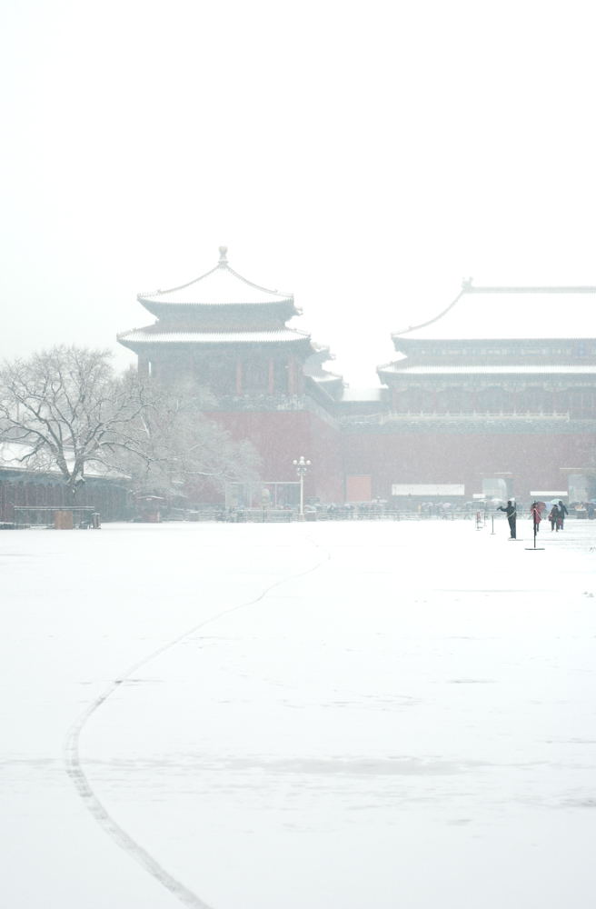 晒雪 摄影 luzhouzjy