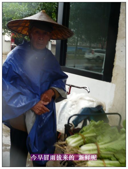 迟到的春雨 摄影 冬林