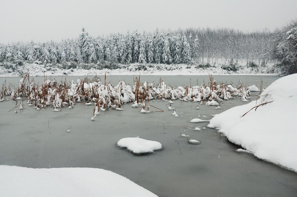 雪景 摄影 huangjing032