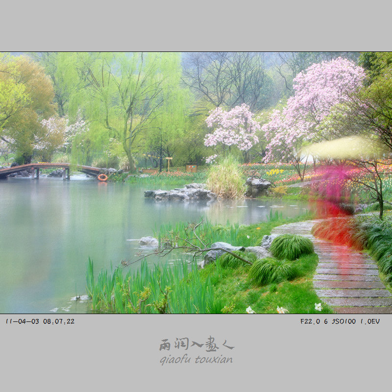 雨润入画人 摄影 南山樵夫