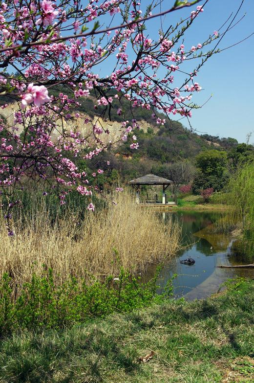 走进树山村 摄影 狂风