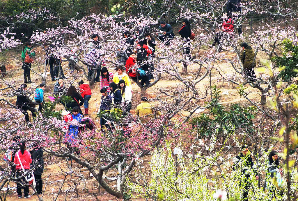 春之歌———踏青 摄影 蜀中山人