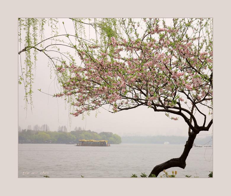 春雨中的西子~ 摄影 思秋