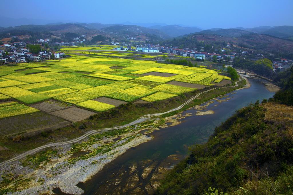 山青、水緑、菜花黄 摄影 蕊宝贝