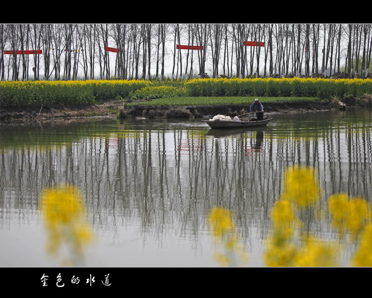 金色的水道 摄影 化石