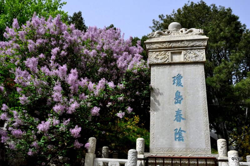 北京八景之一   琼岛春阴 摄影 秋雨