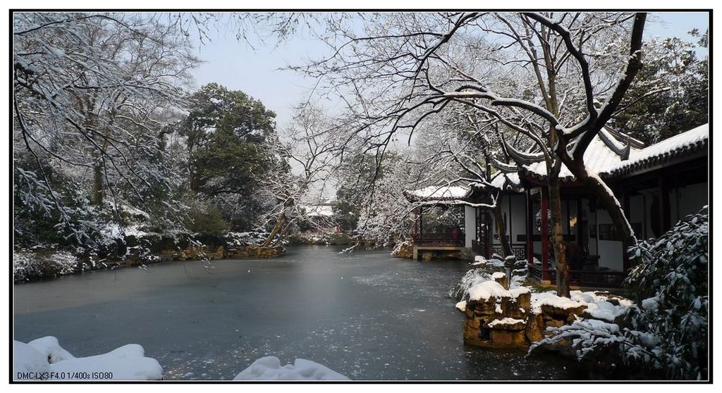 《玉枝琼花 香透一园春》——最怜江南雪组图之一 摄影 邹鹏程