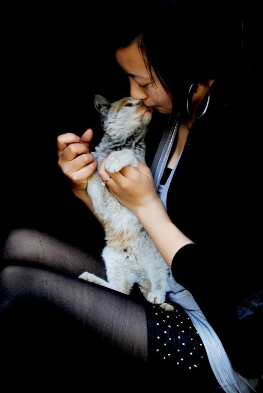 女孩和猫 摄影 秋V雨