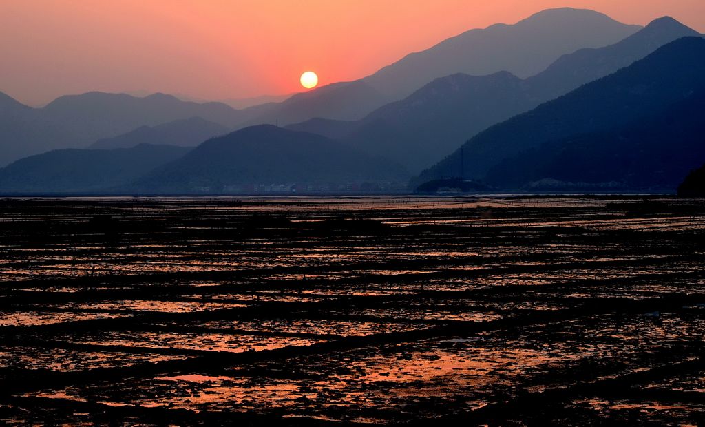 夕阳无限好 摄影 鲤江