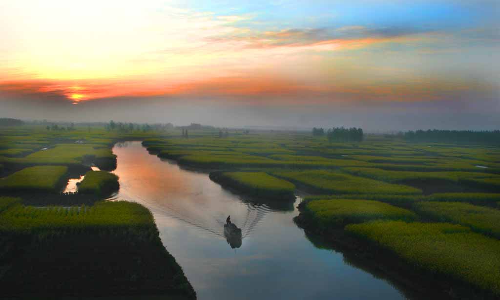 油菜美景 摄影 张杰英