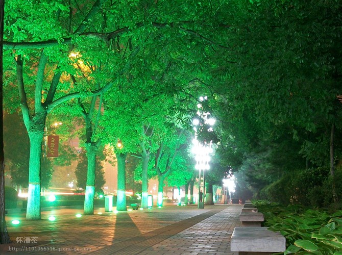 英雄路之夜 摄影 小城雨巷