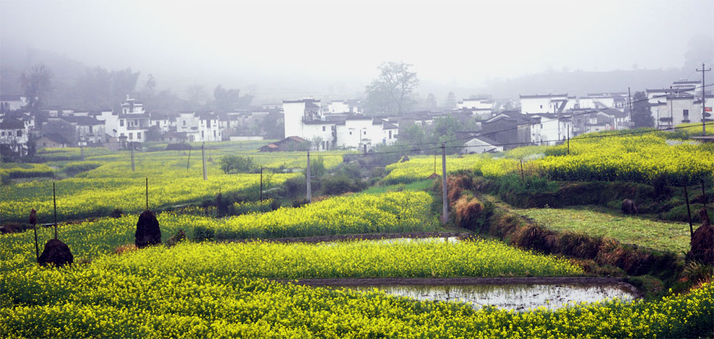 婺源风景 摄影 大路之歌