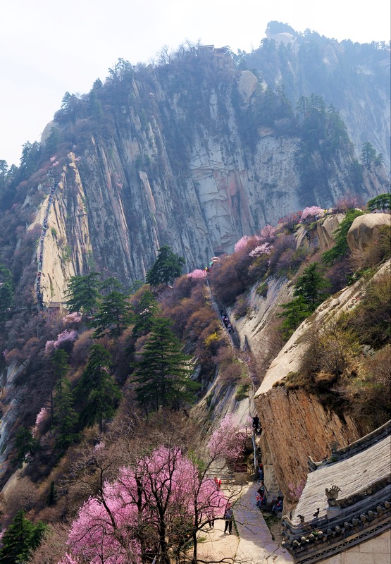 华山之险 摄影 龙行雨