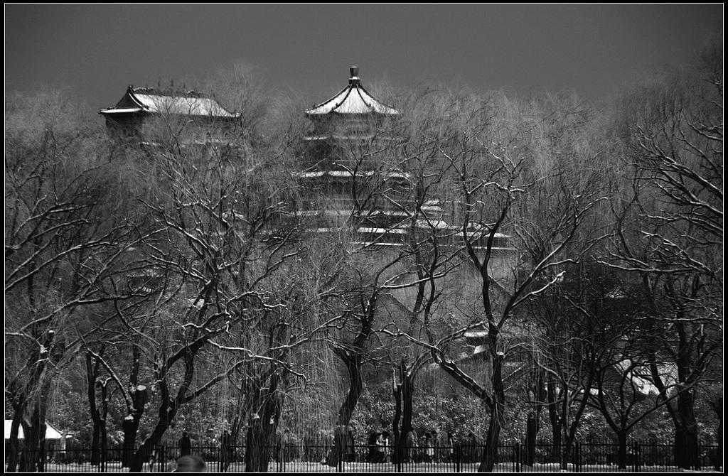 颐和园雪景 摄影 始见