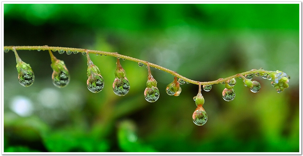 水秀 摄影 乌兰湖