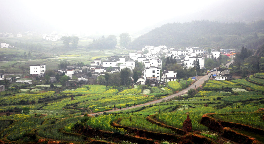 婺源风景 摄影 大路之歌