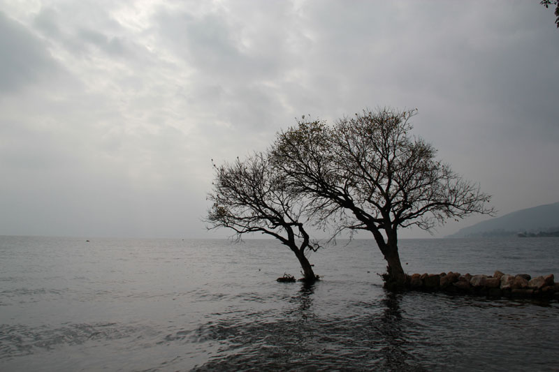 任凭风吹浪打我们永远相伴。 摄影 追寻地平线