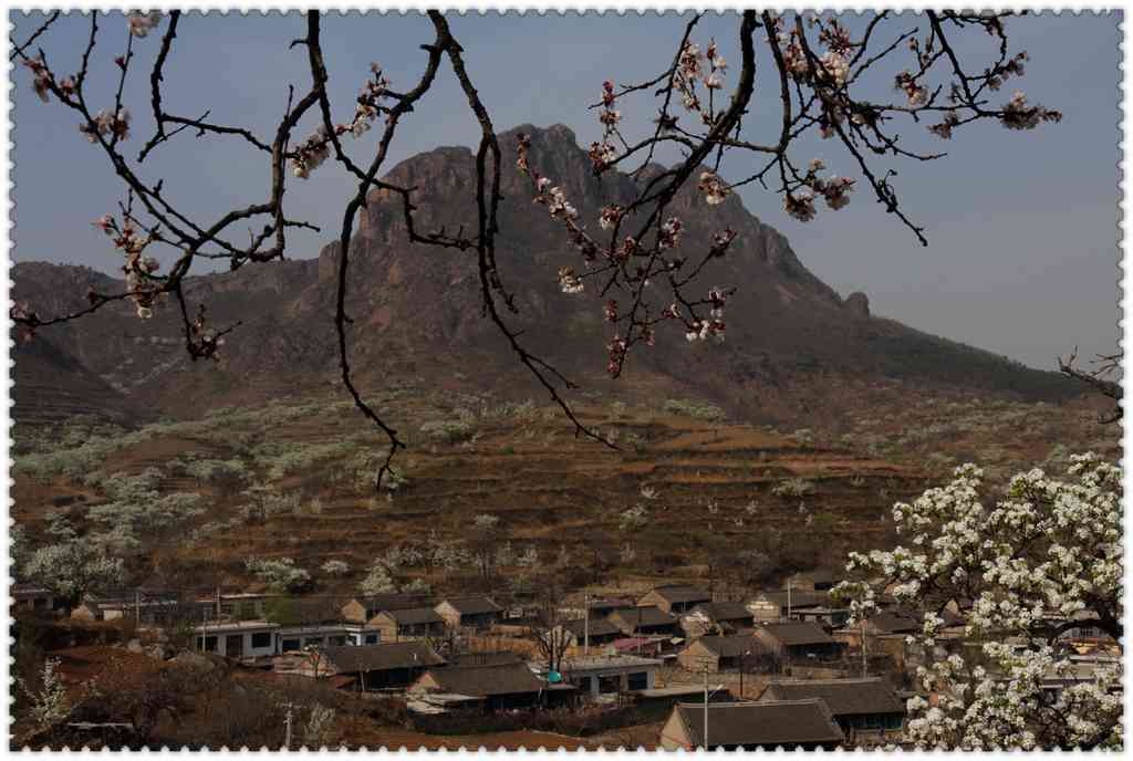 半壁山下梨花村 摄影 风清月朗