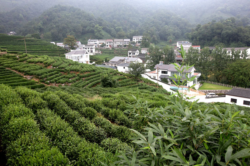 西湖村掠影 摄影 把酒凌虚