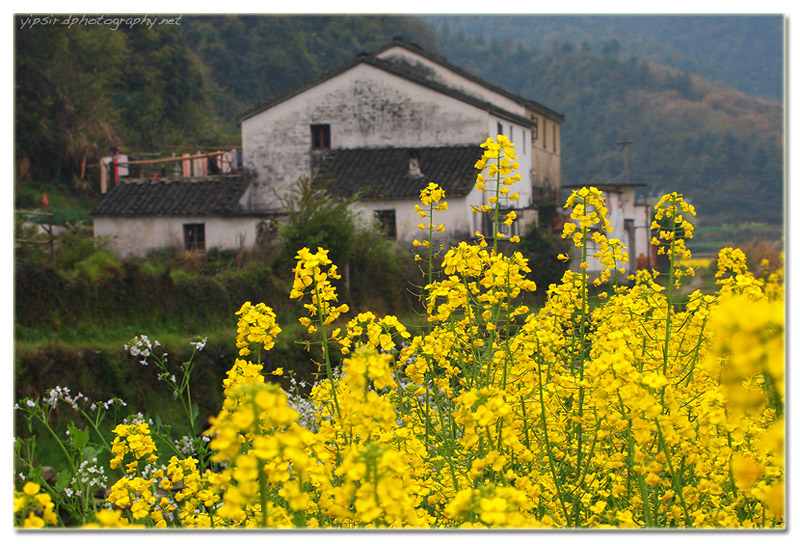 乡村小景 摄影 yipsir