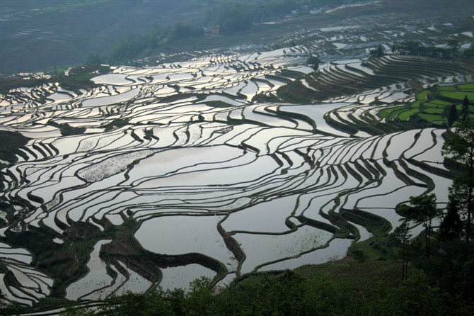 元阳梯田 摄影 深海龙