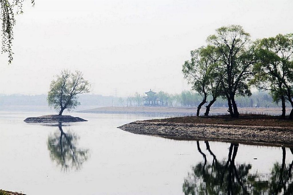 大河洲头 摄影 xubocheng