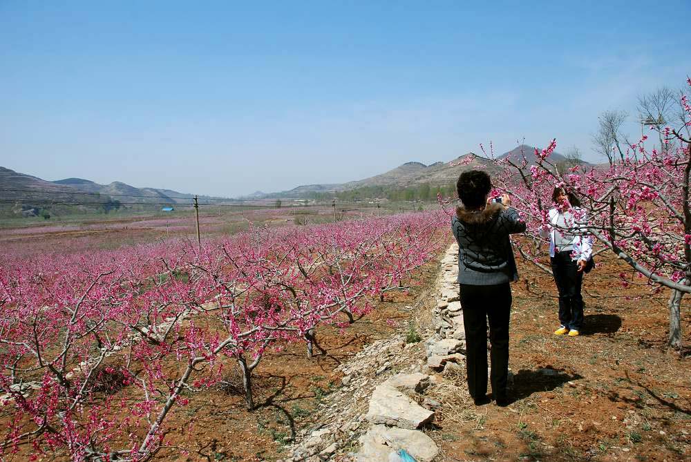 鲁中桃花源风景区--3 摄影 兰生空谷