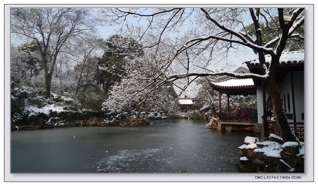 《玉枝琼花 香透一园春》——最怜江南雪组图之六 摄影 邹鹏程