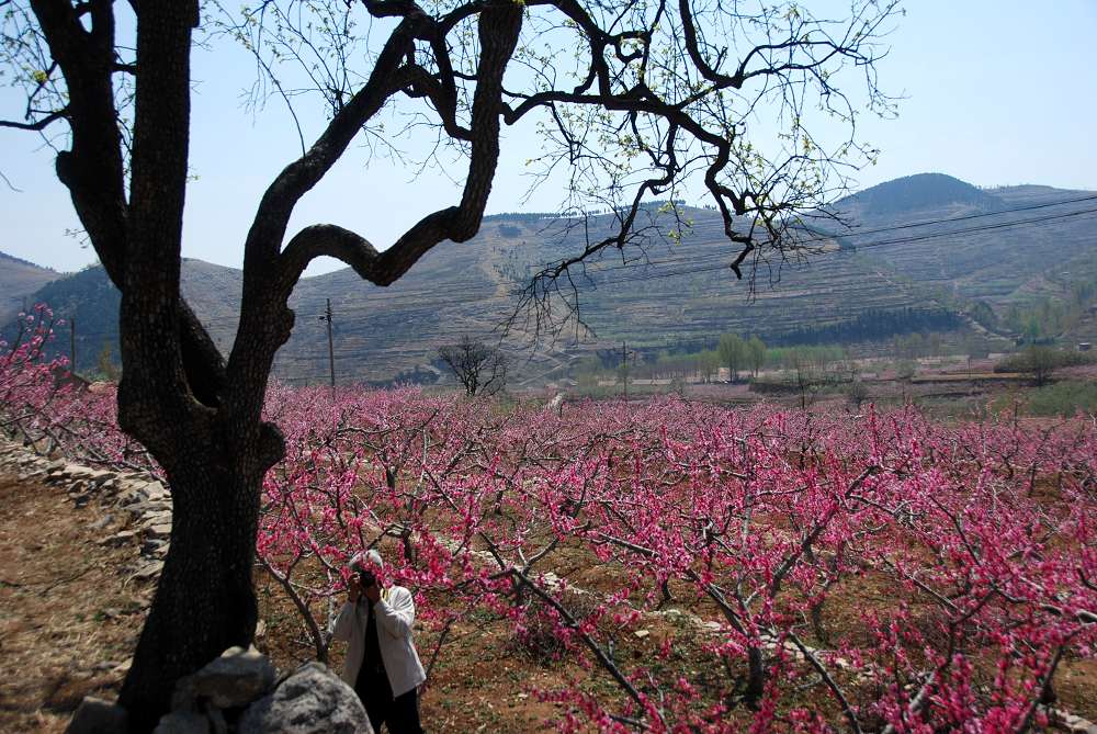 鲁中桃花源风景区-4 摄影 兰生空谷