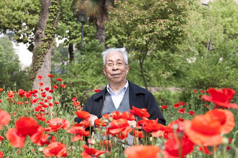 虞美人 摄影 chenruoping