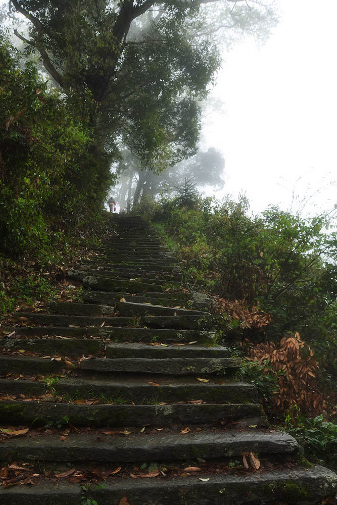 山路 摄影 片风1210