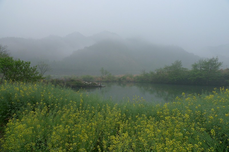 婺源早春 摄影 边疆