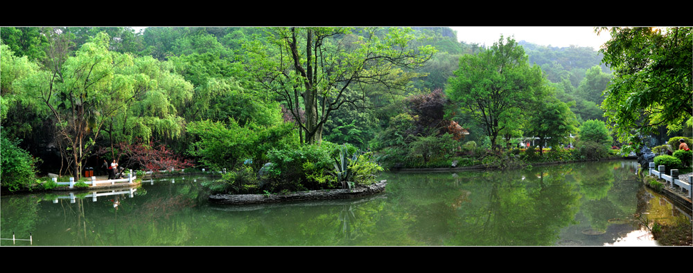 春绿大地 摄影 江岸孤峰