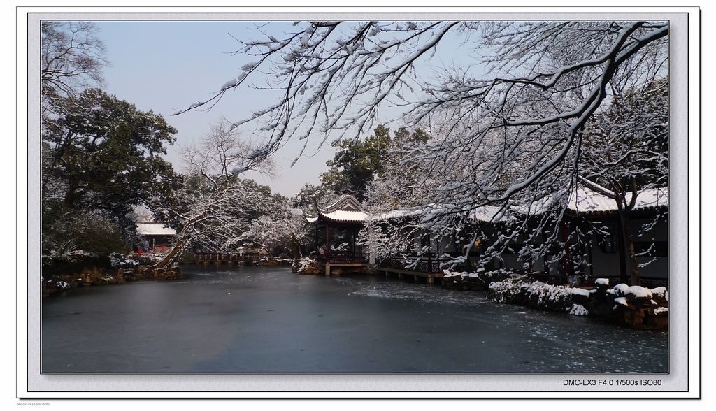 《玉枝琼花 香透一园春》——最怜江南雪组图之七 摄影 邹鹏程