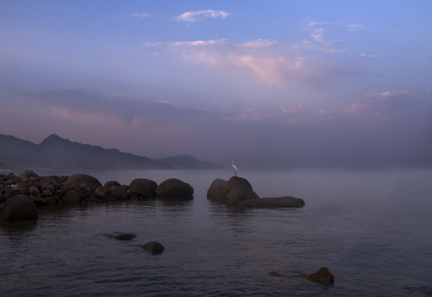 红海•多情（8） 摄影 雨中家人