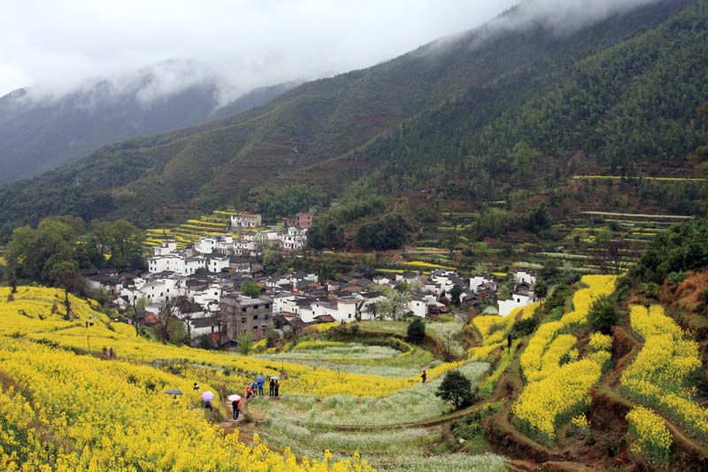 小雨润春 摄影 南哥定影