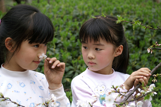 赏樱花的两姐妹 摄影 芙蓉国lzy