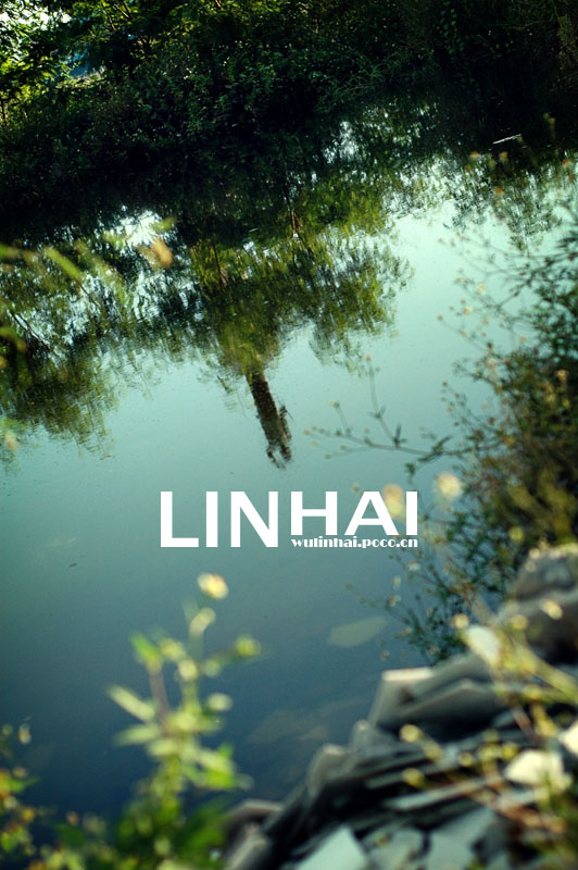 倒影 摄影 LINHAIVISION