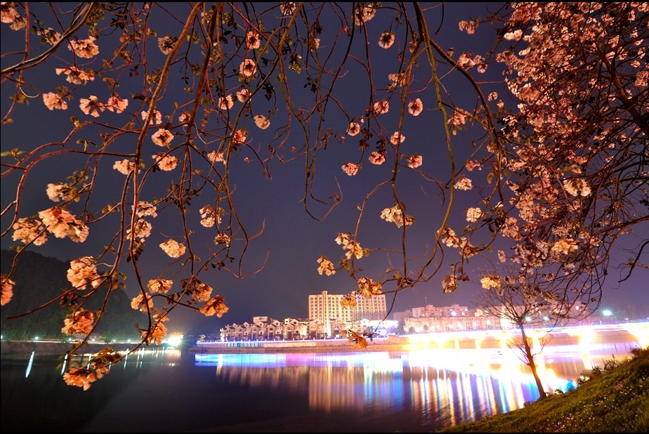 碧水湾之夜 摄影 baicuan