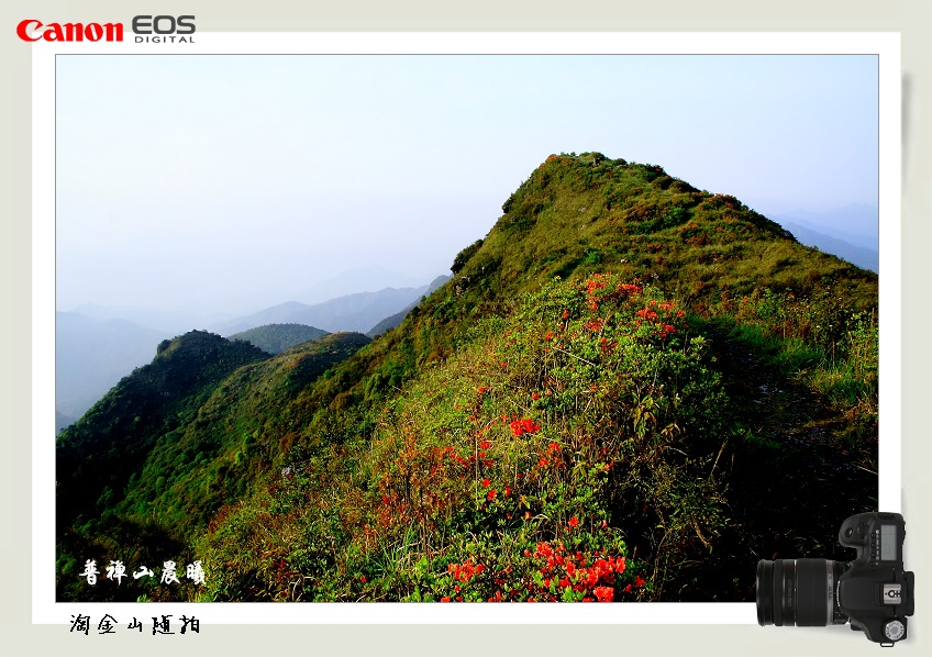 普禅山晨曦（1） 摄影 淘金山