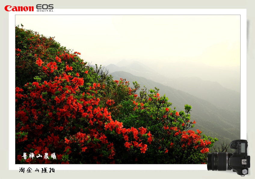 普禅山晨曦(4) 摄影 淘金山