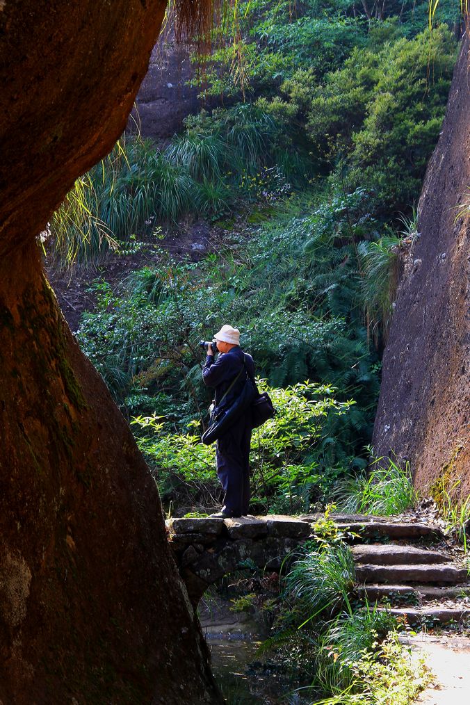 岩茶岩韵悟源涧 摄影 郑大山人