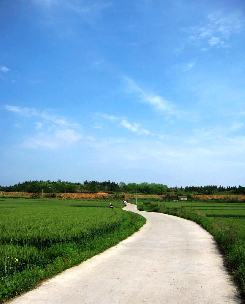 新农村道路 摄影 竹风剑影